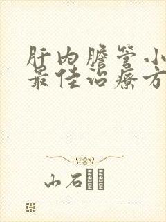 肝内胆管小结石最佳治疗方法