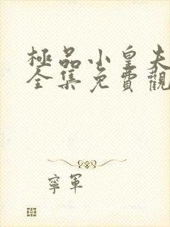 极品小皇夫短剧全集免费观看