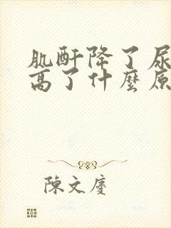 肌酐降了尿蛋白高了什么原因?