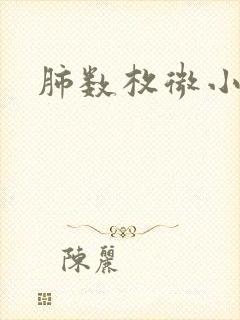 肺数枚微小结节