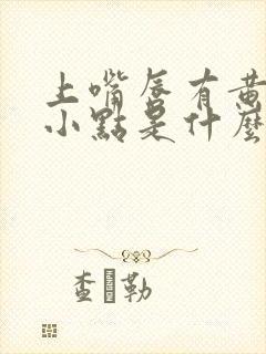 上嘴唇有黄色的小点是什么原因