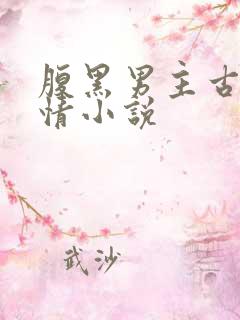 腹黑男主古代言情小说