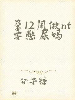 孕12周做nt要憋尿吗