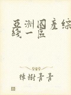 亚洲国产综合在线一区