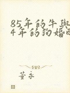 85年的牛与94年的狗婚配吗