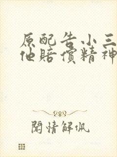 原配告小三能让他赔偿精神损失费吗