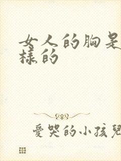 女人的胸是什么样的