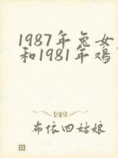 1987年兔女和1981年鸡男婚配如何