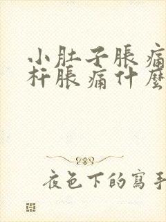 小肚子胀痛和腰杆胀痛什么原因