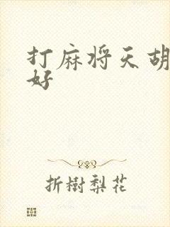 打麻将天胡好不好