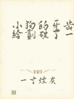 小狗的牙齿把手给划破了一点皮没出血