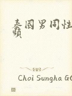 泰国男同性恋视频