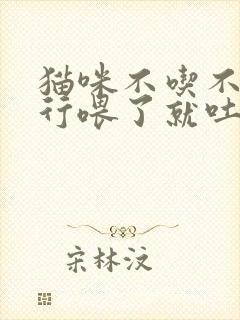 猫咪不吃不喝强行喂了就吐