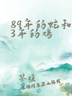 89年的蛇和93年的鸡