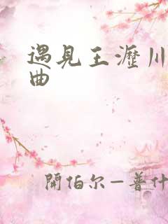 遇见王沥川片尾曲