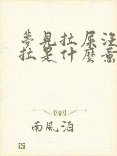 梦见拉屎没地方拉是什么意思