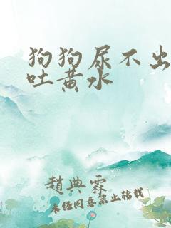 狗狗尿不出尿还吐黄水