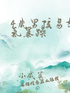 4岁男孩易怒脾气暴躁