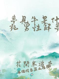 梦见牛是什么预兆 男性解梦