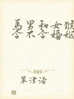 马男和女猴属相合不合婚姻