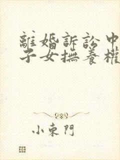 离婚诉讼中关于子女抚养权归属问题