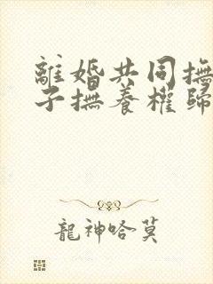 离婚共同抚养孩子抚养权归谁