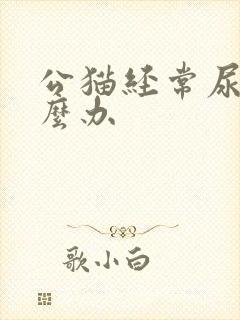 公猫经常尿闭怎么办