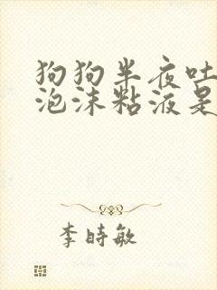 狗狗半夜吐黄色泡沫粘液是什么原因