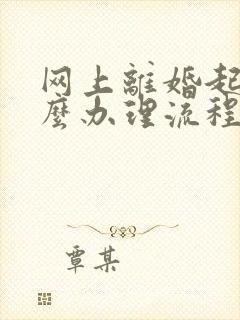 网上离婚起诉怎么办理流程