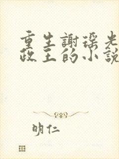 重生谢瑶光和摄政王的小说35