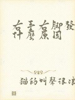 右手右脚发麻是什么原因