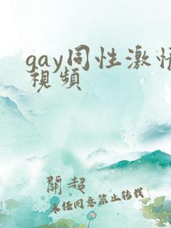 gay同性激情视频