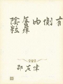 阴唇内侧有小肉粒痒