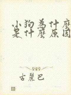 小狗为什么不叫是什么原因