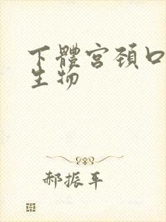 下体宫颈口有赘生物