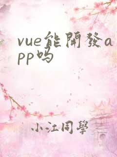 vue能开发app吗