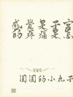 感觉是子宫下坠的疼痛是怎么回事