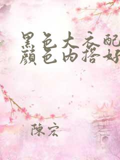 黑色大衣配什么颜色内搭好看