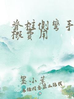 脊椎侧弯手术大概费用