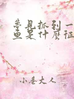 梦见抓到一条小鱼是什么征兆