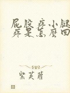 屁股疼小腿肚子疼是怎么回事