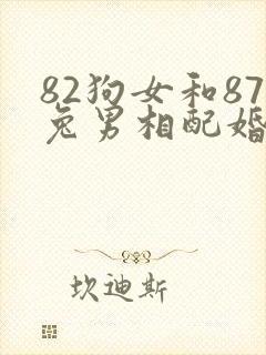 82狗女和87兔男相配婚姻如何