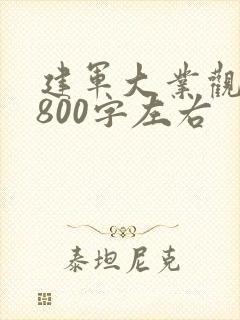 建军大业观后感800字左右