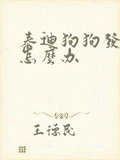 泰迪狗狗发烧了怎么办