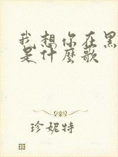 我想你在黑夜里是什么歌
