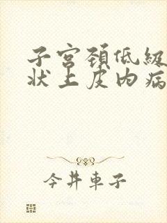 子宫颈低级别鳞状上皮内病变是什么意思