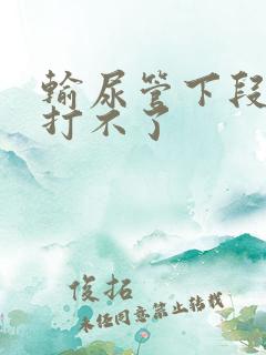 输尿管下段结石打不了