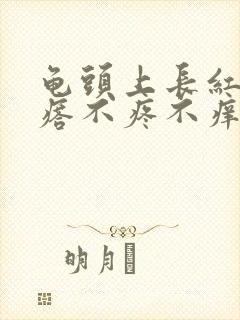 龟头上长红色疙瘩不疼不痒