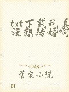 txt下载我真没想结婚啊
