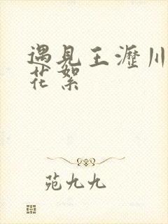 遇见王沥川拍摄花絮